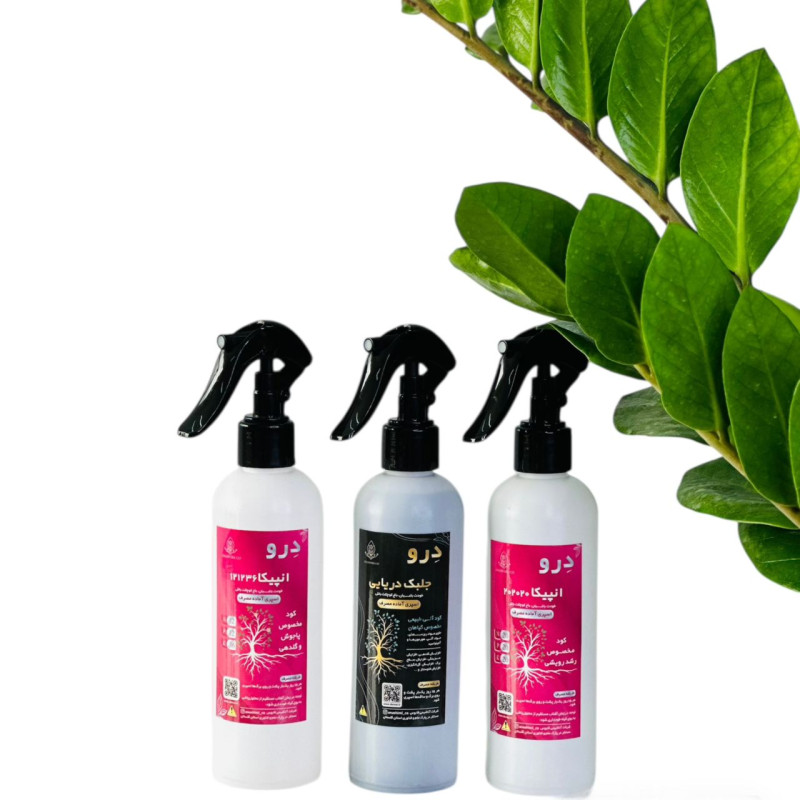 پک ریشه تا برگ